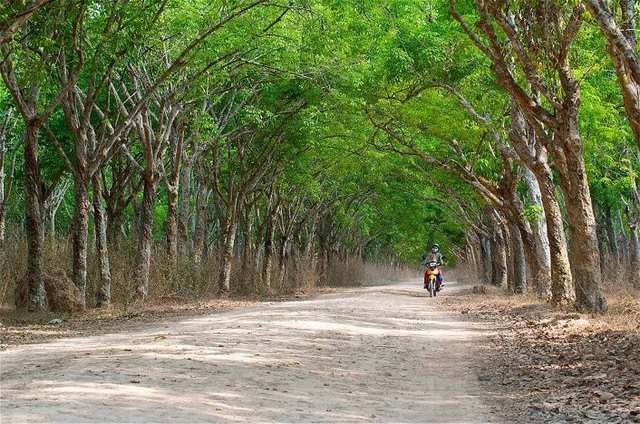 on the road to Cu Chi Tunnels