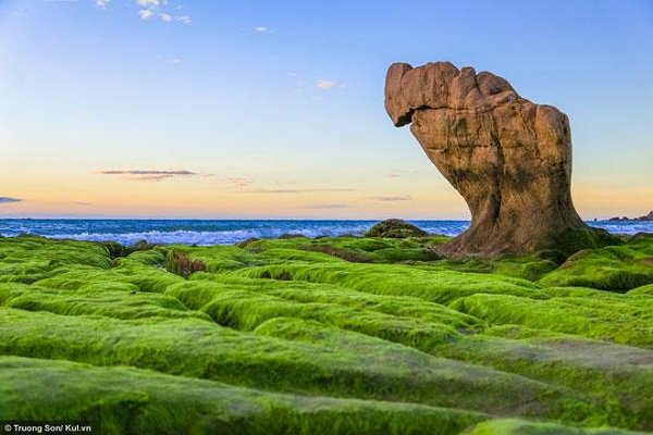 go to Co Thach beach to watch the green moss covered the rocks