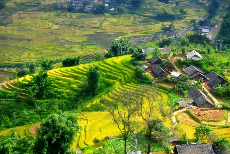 Lao Chai & Ta Van villages