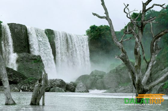 Bao Dai falls