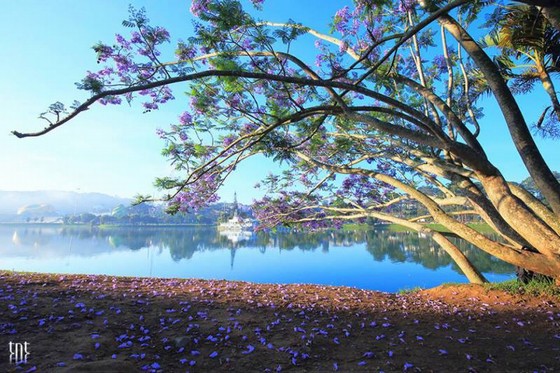 Travelling to Dalat in the summer
